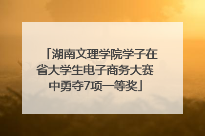 湖南文理学院学子在省大学生电子商务大赛中勇夺7项一等奖